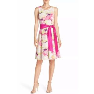 Eliza J Floral Print Faille Fit & Flare Dress